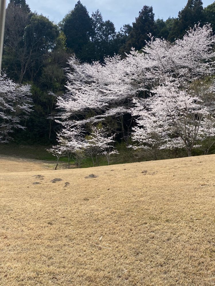 ちゃ〜ちゃんさんが投稿した富士スタジアムゴルフ倶楽部北コースに関する口コミの画像