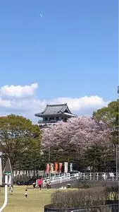 歌舞伎文化公園