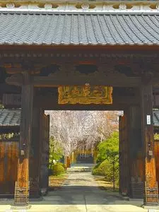 荒町商店中華そば ふじやま