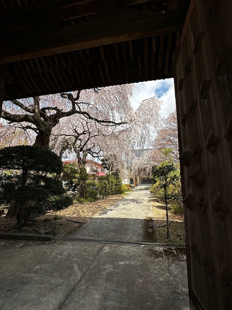 かめ_メグミさんが投稿した荒町商店中華そば ふじやまに関する口コミの画像