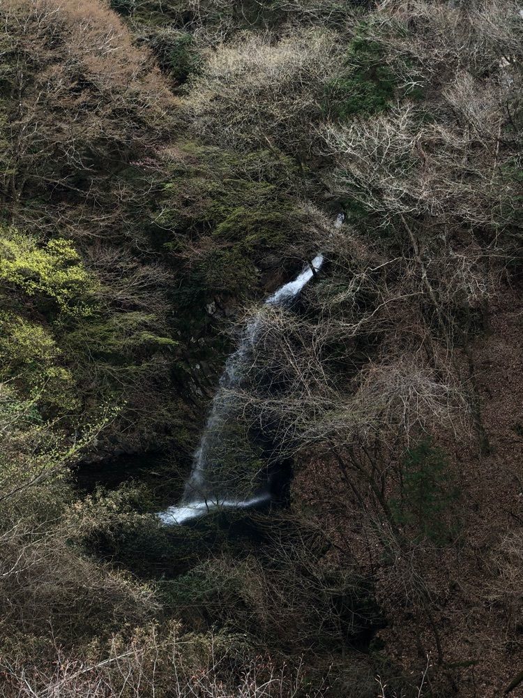 からっ風②さんが投稿した不動滝（群馬県みどり市）に関する口コミの画像