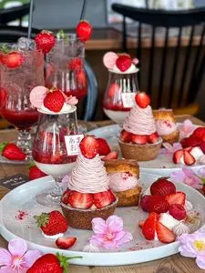 ROCCA & FRIENDS tearoom