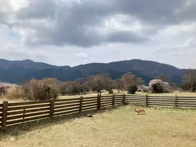 箱根園