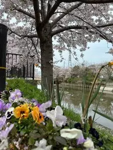 旧山田家住宅