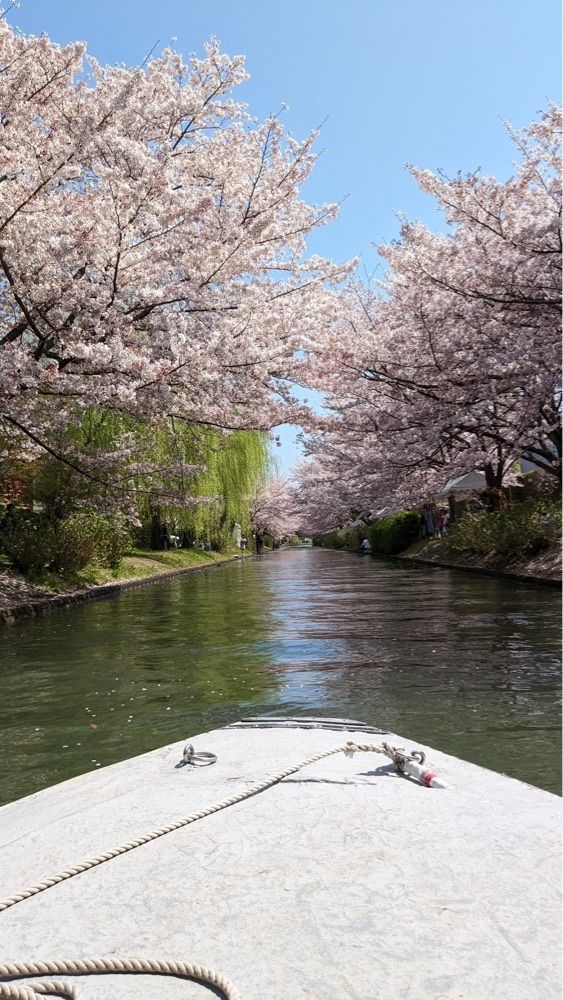 shin-emonさんさんが投稿した十石舟に関する口コミの画像