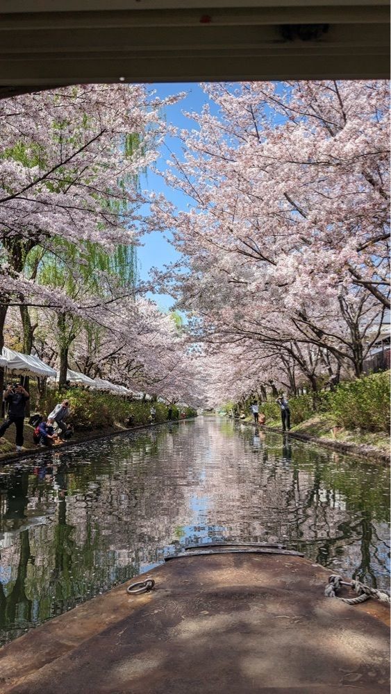 shin-emonさんさんが投稿した十石舟に関する口コミの画像