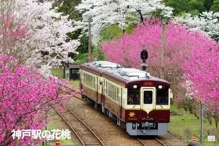 大間々駅前観光案内所