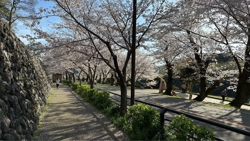 yoko☆さんが投稿した狩野川さくら公園に関する口コミの画像