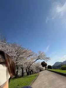 狩野川さくら公園 1枚目