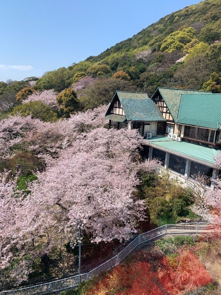 影の戦闘隊さんが投稿した須磨浦公園の桜に関する口コミの画像