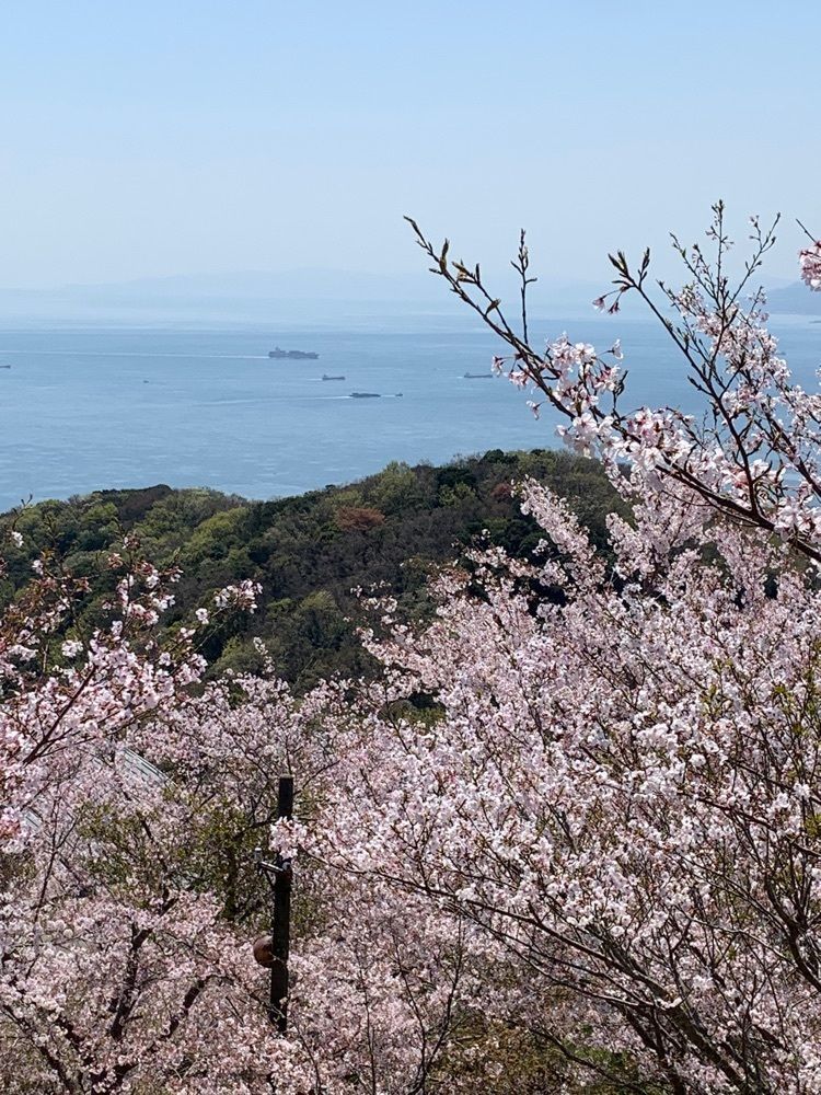 影の戦闘隊さんが投稿した須磨浦公園の桜に関する口コミの画像