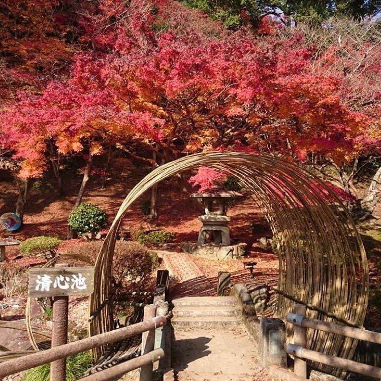 ＤＪゴン太さんが投稿した尾関山公園に関する口コミの画像