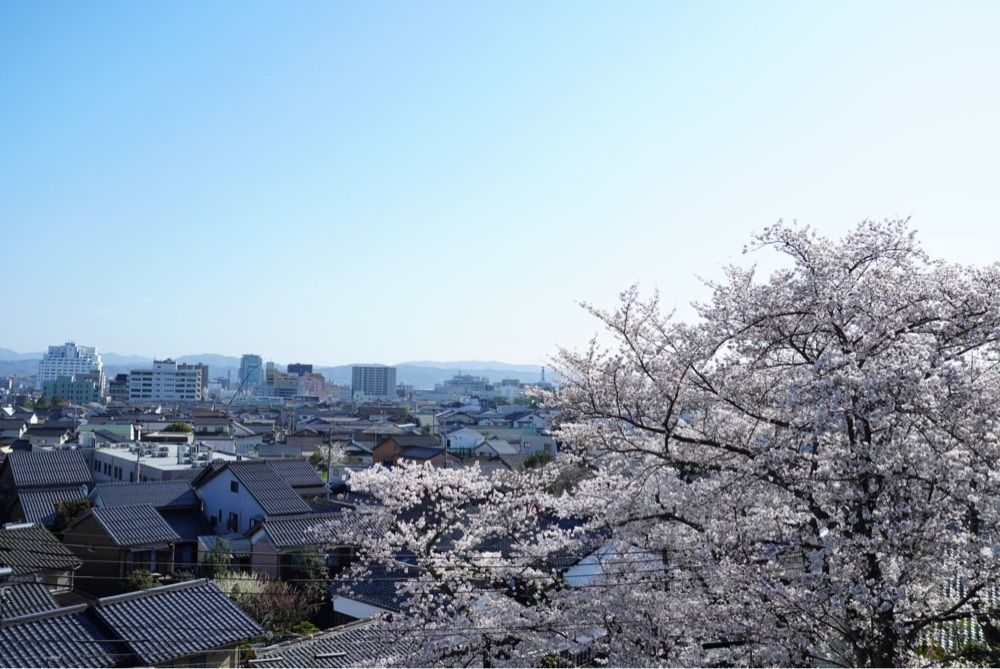 Yukiさんが投稿した千手院に関する口コミの画像