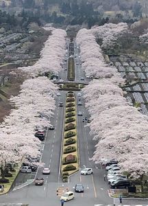 冨士霊園 1枚目