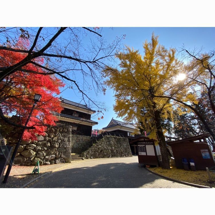 wonderful_street_830dさんが投稿したジェラード十勇士の里に関する口コミの画像