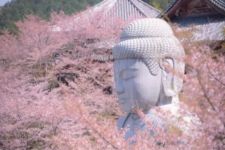 壷阪寺八角円堂壷阪寺八角円堂