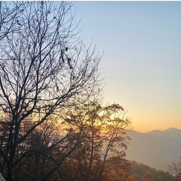 wonderful_street_830dさんが投稿した北アルプスに抱かれた山岳リゾート　ホテルアンビエント安曇野に関する口コミの画像