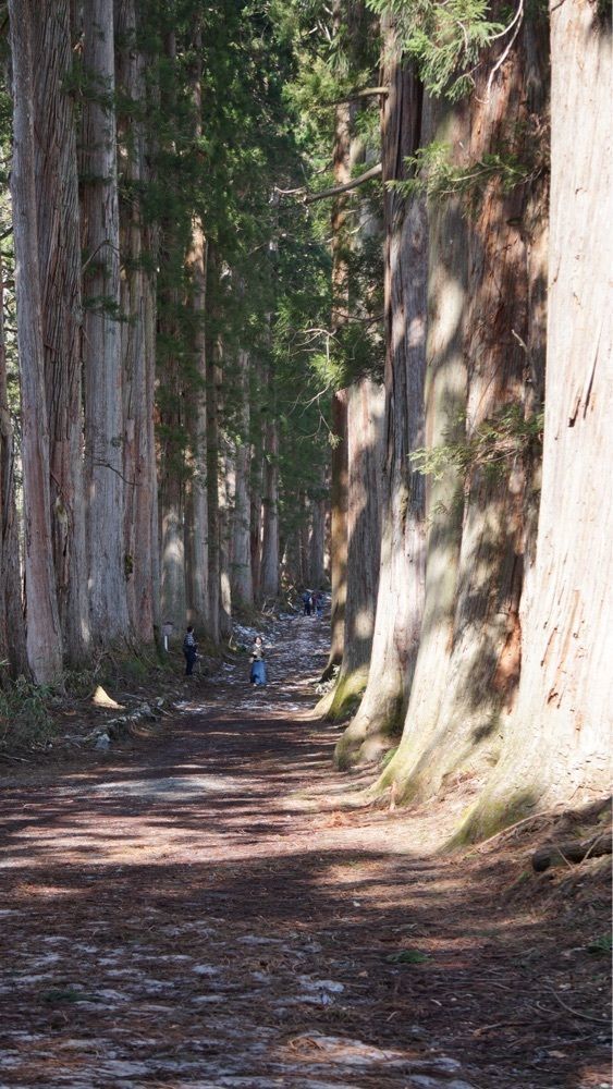 たか富山人さんが投稿したそばの実に関する口コミの画像
