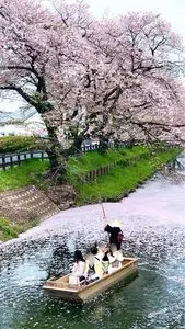 新河岸川