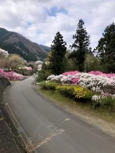 今井屋