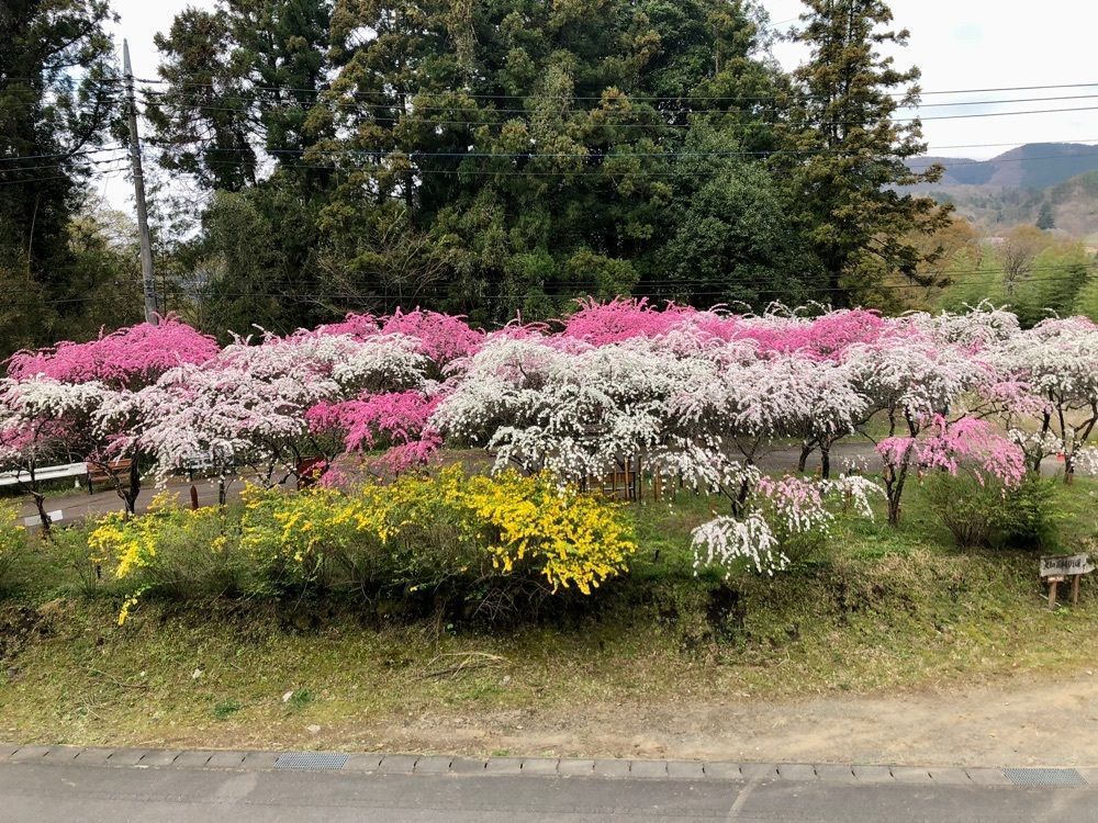 からっ風②さんが投稿した今井屋に関する口コミの画像