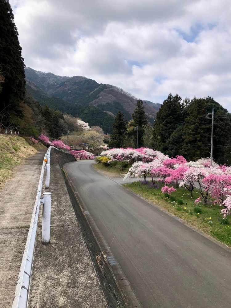 からっ風②さんが投稿した今井屋に関する口コミの画像