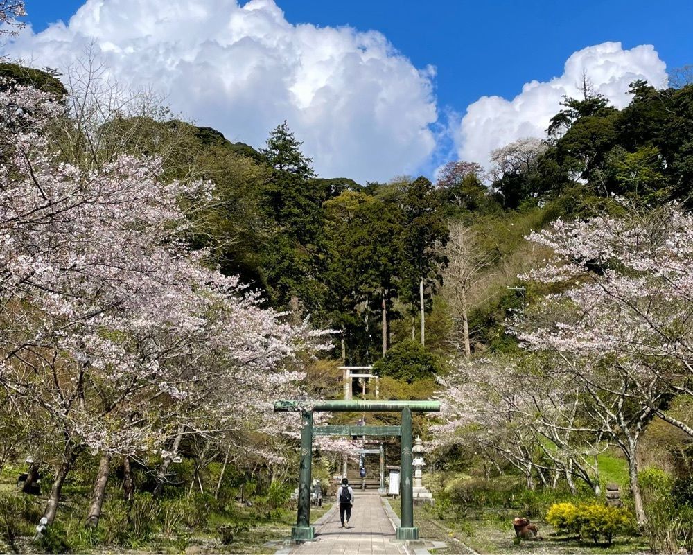 active34さんが投稿した唐門(建長寺）に関する口コミの画像