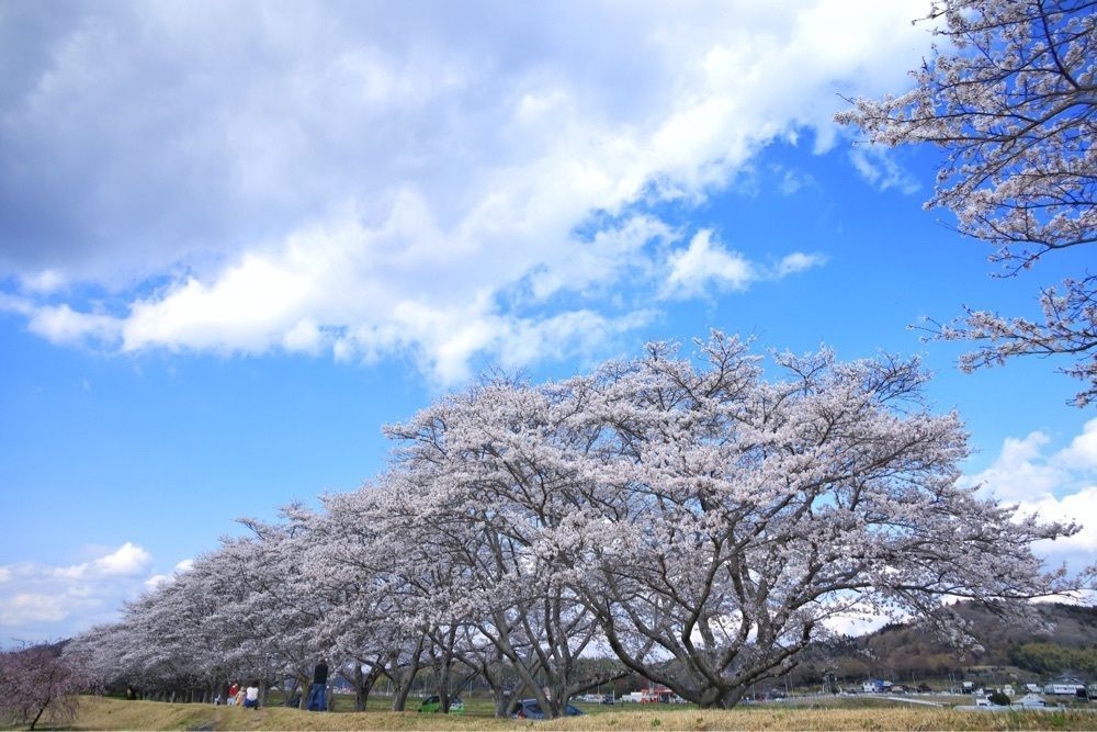 まさまさ　さまさんが投稿した那珂川町に関する口コミの画像