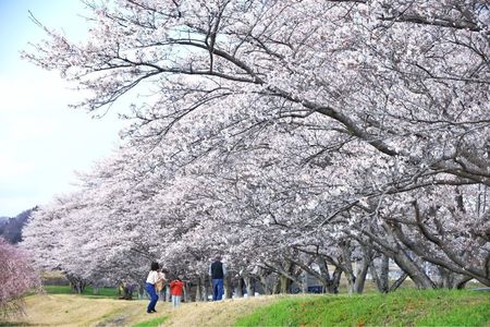 施設画像