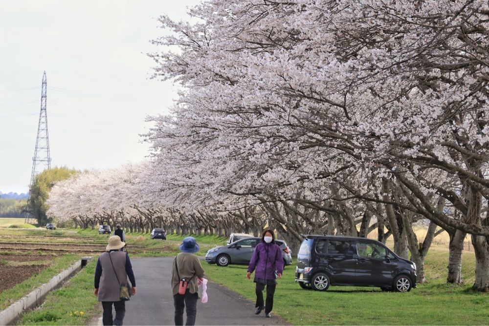 まさまさ　さまさんが投稿した那珂川町に関する口コミの画像