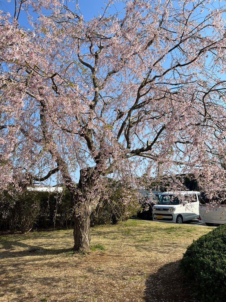 hu4378さんが投稿した阿漕ヶ浦公園に関する口コミの画像