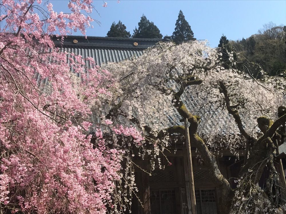nostalgic_culture_2329さんが投稿した武周ケ池に関する口コミの画像