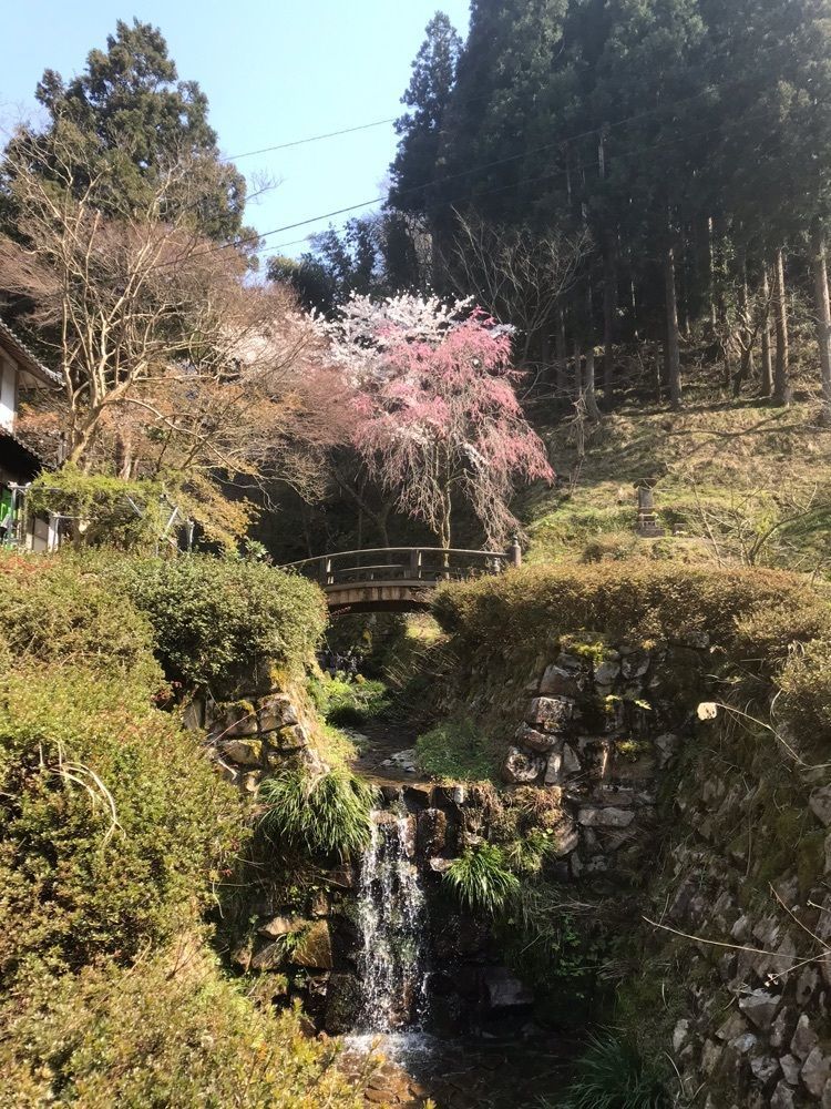 nostalgic_culture_2329さんが投稿した武周ケ池に関する口コミの画像