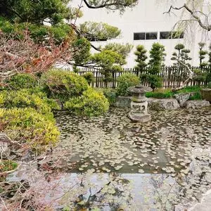 華蔵寺 1枚目