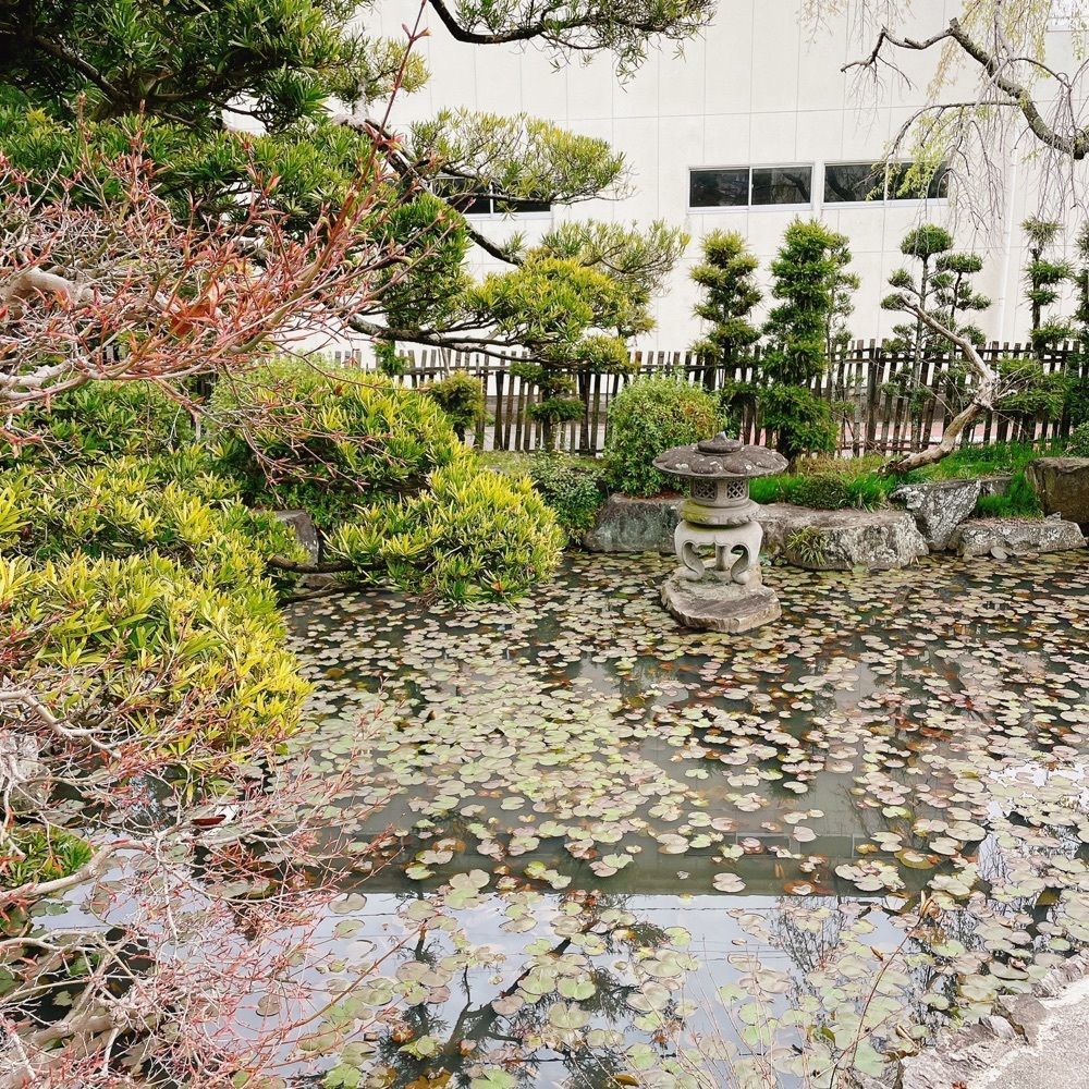Danjouさんが投稿した華蔵寺に関する口コミの画像