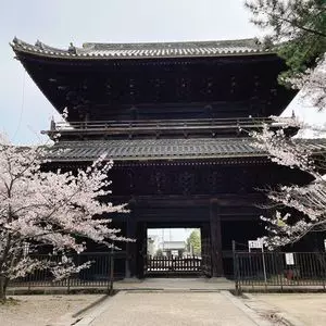 大樹寺（愛知県岡崎市）