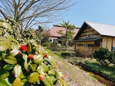 梅ヶ枝清水（めがすず）