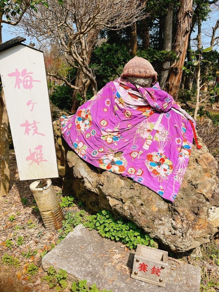 猫なぎ。さんが投稿した梅ヶ枝清水（めがすず）に関する口コミの画像