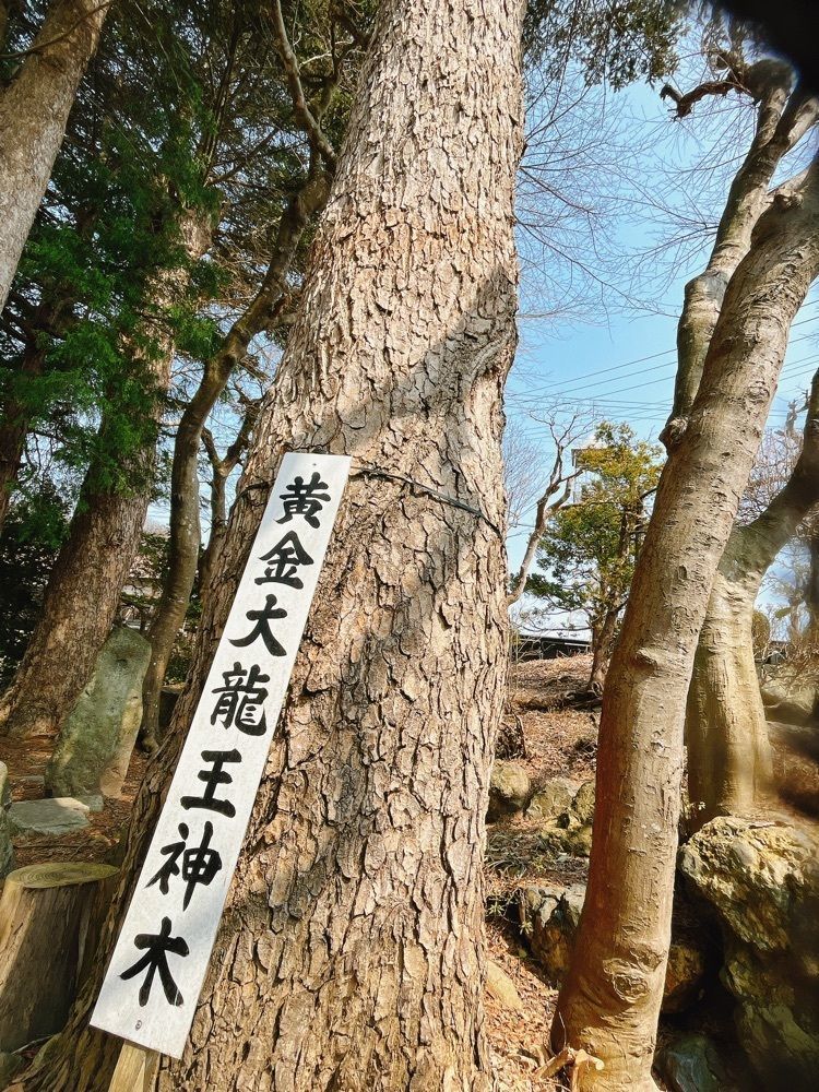 猫なぎ。さんが投稿した梅ヶ枝清水（めがすず）に関する口コミの画像