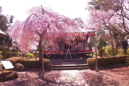 東山旧岸邸