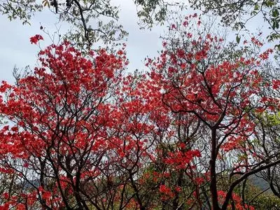 海べの市　かまえインターパーク
