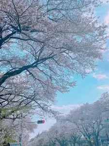 大学通り