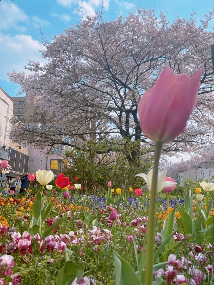 R.i.nさんが投稿した大学通りに関する口コミの画像
