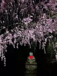 松音寺