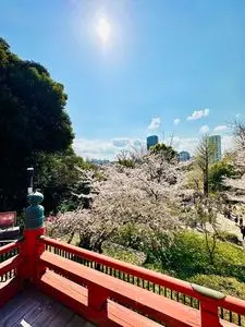 寛永寺清水観音堂