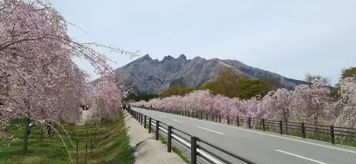根子岳