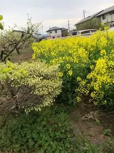 こめ蔵