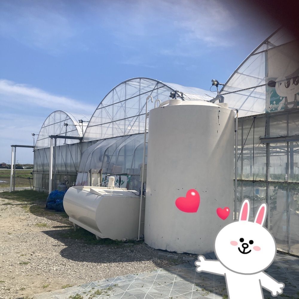 ロッシフミさんが投稿したいちご狩りのベリータウンに関する口コミの画像