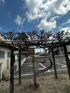 毘沙門天（満福寺）