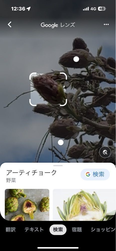 かめ_メグミさんが投稿した毘沙門天（満福寺）に関する口コミの画像